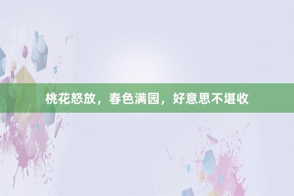 桃花怒放,春色满园,好意思不堪收